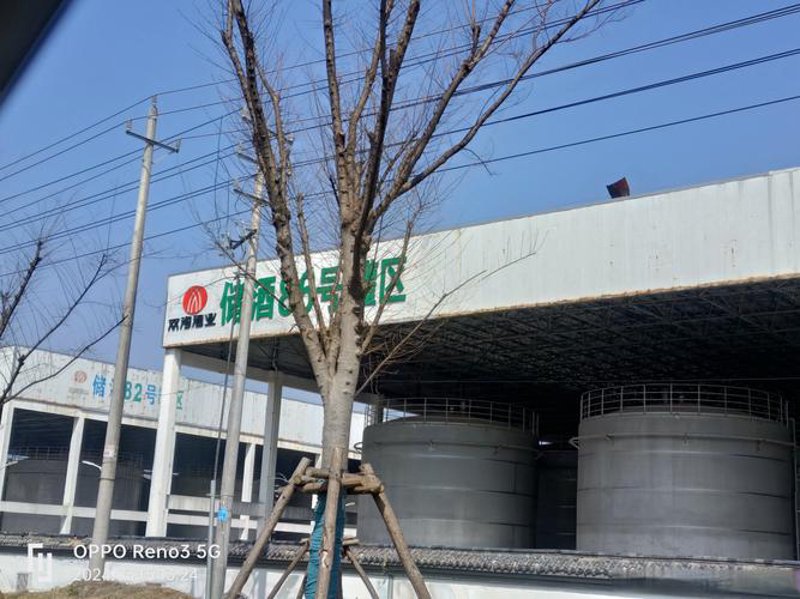 高优酒业——引领行业风向标